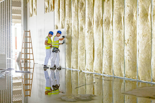 Best Residential Insulation in Piney Green, NC